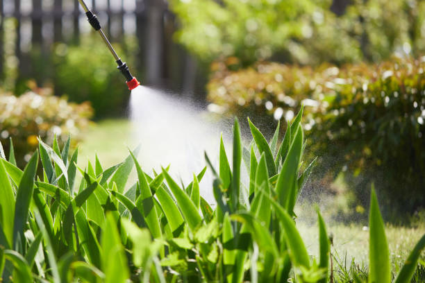 24/7 Emergency Cockroach Control experts in Park City, TN