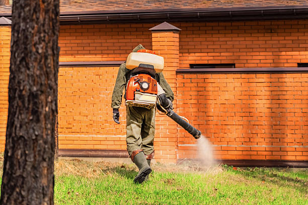 Trusted Ant Control service in Park City, TN - Nex Pest Control